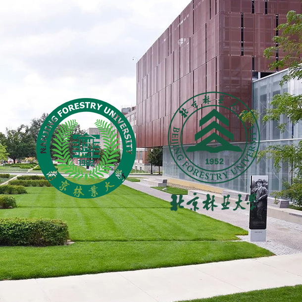 Anhui Guanming Dekorasi Bahan Co, Ltd